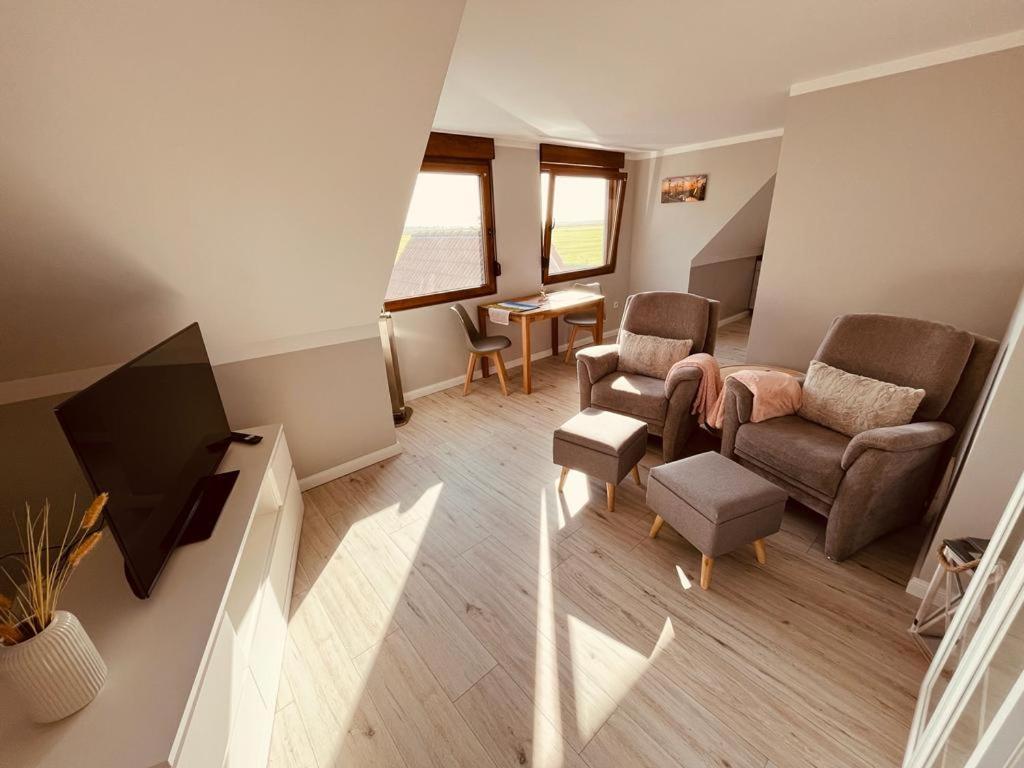 Seestern Krummhorn Bagian luar foto